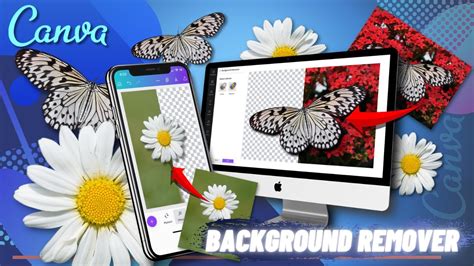 Canva Background Remover Instantly Remove Backgrounds From Images Youtube