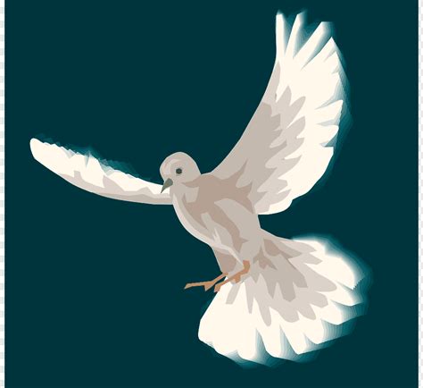 Columbidae Bird Голубь Оливковая ветвь, Голубь с, компьютерные обои ...