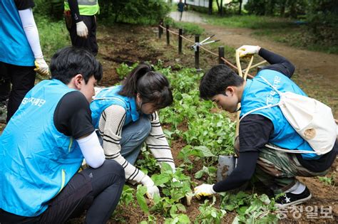 Ktandg복지재단 북한산 생태복원산수국 황매화 산철쭉 등 1830주 식재