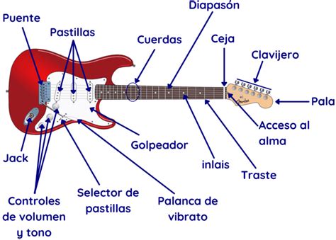 Conformidad Ordinario Clon Tipos De Clavijeros Guitarra Electrica