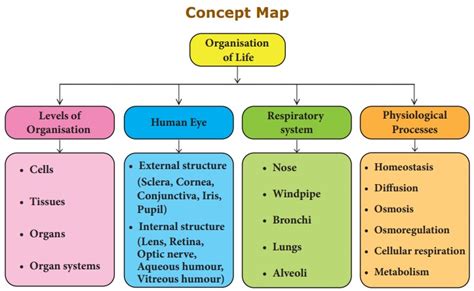 Organisation Of Life Chapter 18 8th Science