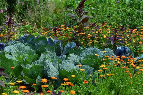 Calendrier Des Travaux De Jardinage Par Mois Et Par Saison