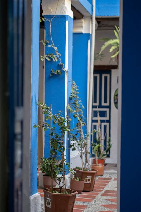 Los Mejores Alquiler Apartamentos Quito Y Casas Con Fotos En