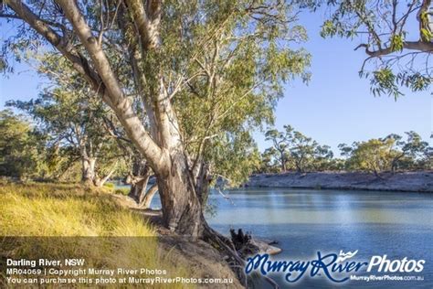 Darling River, NSW