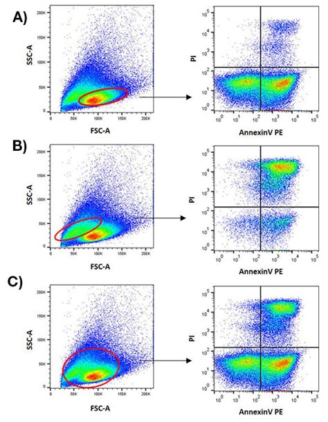 How To Use Flow Cytometry To Measure Apoptosis Part Two Bio Rad