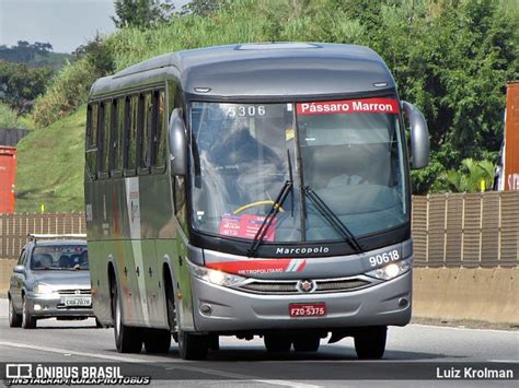 Empresa De Nibus P Ssaro Marron Em Aparecida Por Luiz Krolman