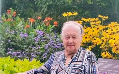 Located Safe Arlington Heights Police Seek Help Locating Missing 88