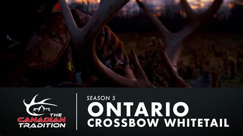 Ontario Crossbow Whitetail YouTube