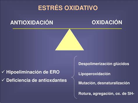 Ppt Cido Rico Y Estr S Oxidativo Powerpoint Presentation Free