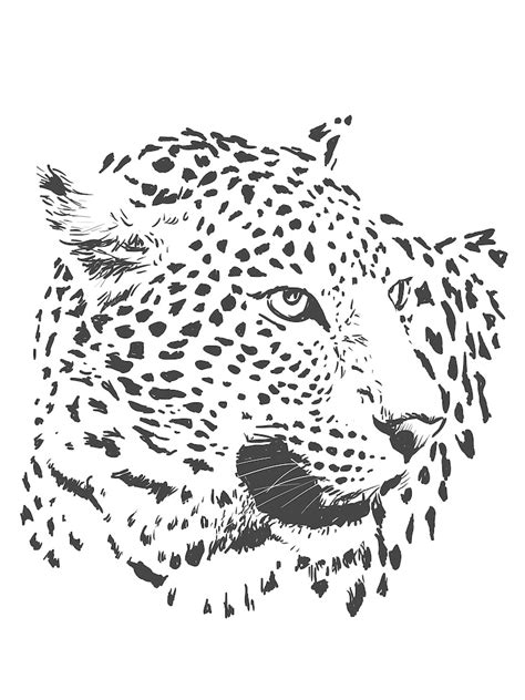 Leopard Head Vector Illustration Art Print By Urban Wall Arts Fy