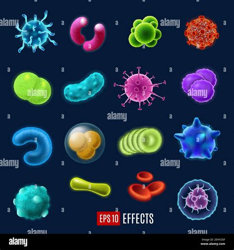 Tipos De Bacterias Microbiologia Fotograf As E Im Genes De Alta