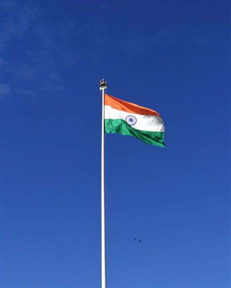 [50+] Tiranga Image, Photo, Pics & Wallpaper (HD) - PhotosFile