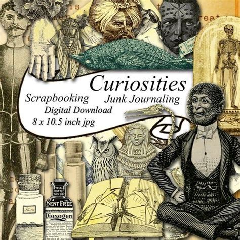 Printable Curious Cabinet Oddities Clipart Scrapbook Paper Victorian Science And Nature