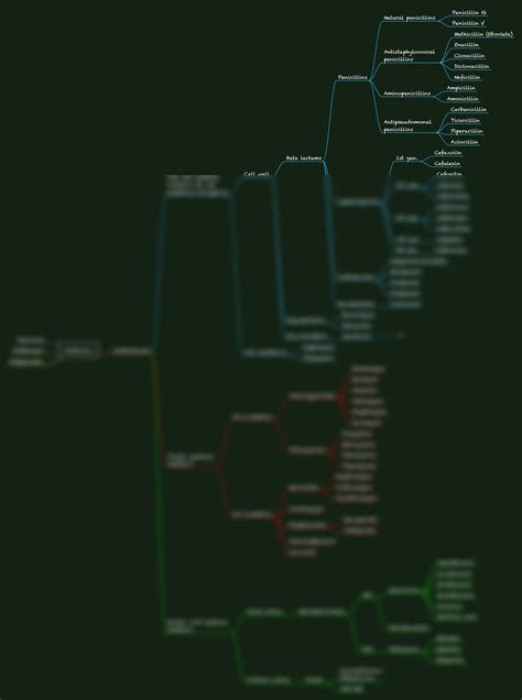 SOLUTION Antibiotics Mindmap Studypool