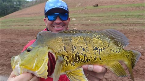 Pescaria de Tucunaré amarelo na represa de Paraibuna SP isca Red