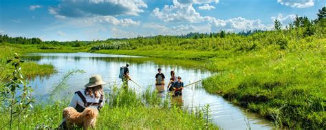 Master Of Forestry With Specialization In Environmental And Wildlife