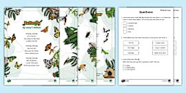 KS1 The Owl And The Pussy Cat Differentiated Comprehension