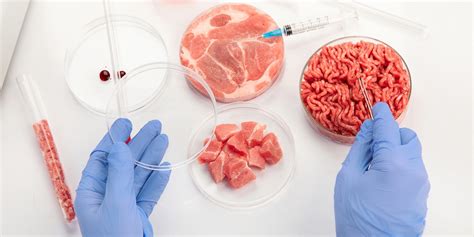 Carne Coltivata E Cibi Sintetici Commenti E Punti Di Vista Sul Divieto