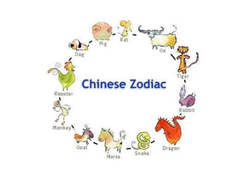 Chinese zodiac | PPT