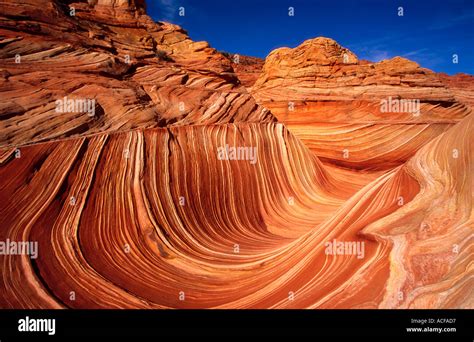 sandstone fins in coyote butte north the wave vermillion cliffs ...