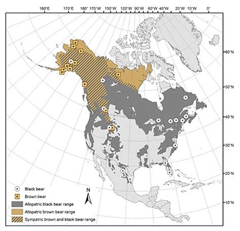 Black Bear Habitat Map