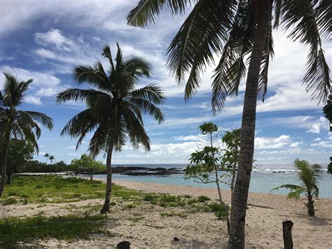 A Tropical Paradise to Call Home | Reach the World