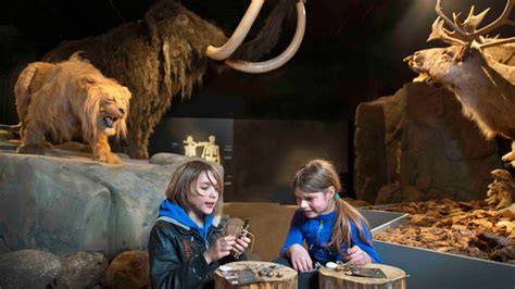 En April Museumweekend Doe Natuurmuseum Brabant