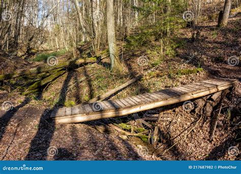 Footbridge Over A Small Ravine Stock Photo Image Of Park Forest