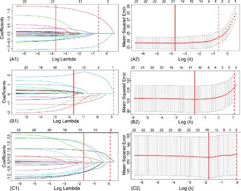 The Prediction Error Of The LASSO Regression Model As A Function Of The