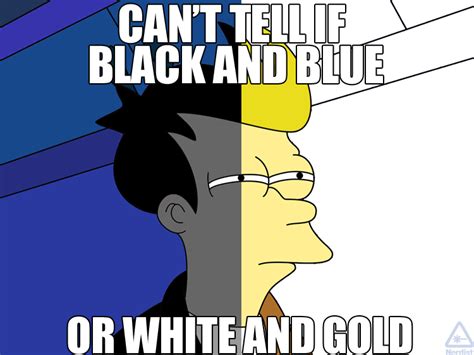 Cant Tell If Black And Blue Or White And Gold Rmemes