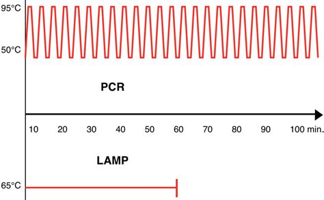 Figure 1 From Development And Application Of Rapid Isothermal