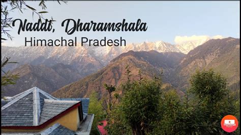 Our Trip To Naddidharamshala Himachal Pradeshudeeche Huts Resort