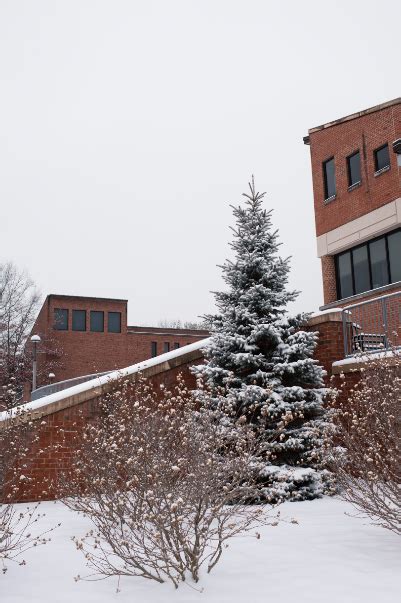 Snow Falling On Skidmore Colleges Campus Shimmering On The Case Center