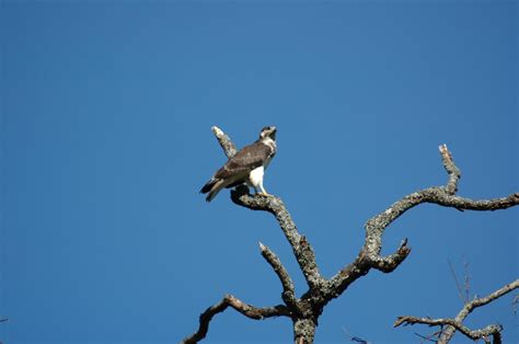 OL DONYO SABUK NATIONAL PARK Travels Terrain