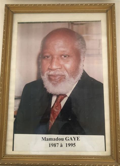 Mamadou Gaye Pr Sident Ordre National Des Experts Du