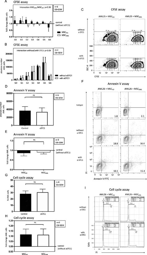 Blockade Of STC1 Had No Effect On Proliferation And Apoptosis Of AML