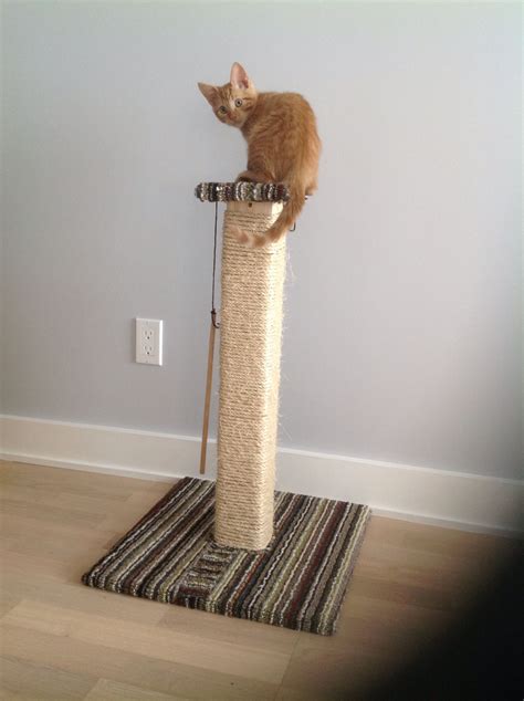 A Homemade Cat Scratching Post Using Wood Scraps A Mat From The Dollar