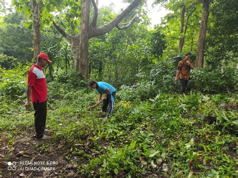 Kegiatan Jumingsih Desa Sayutan