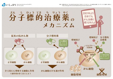 分子標的治療薬のメカニズム Infographics 治療 医療 薬