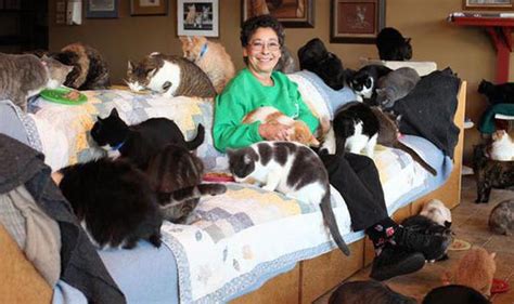 Real Life Crazy Cat Lady Catlovehub