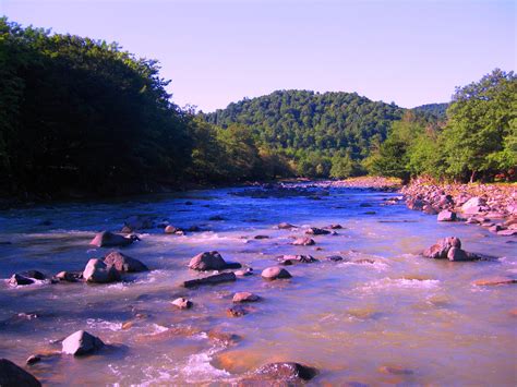 Gambar Pemandangan Laut Pohon Alam Hutan Outdoor Batu Sungai