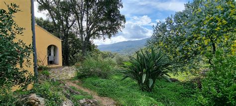 Picturesque Forest Retreat Estacion Gaucin Mary Beker