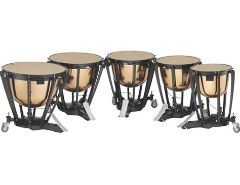 Timpani Tuesdays: Anatomy of Timpani