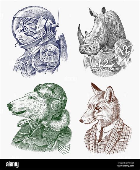 Fox And Rhino Dressed Up In Suit Cat And Polar Bear Astronaut Or