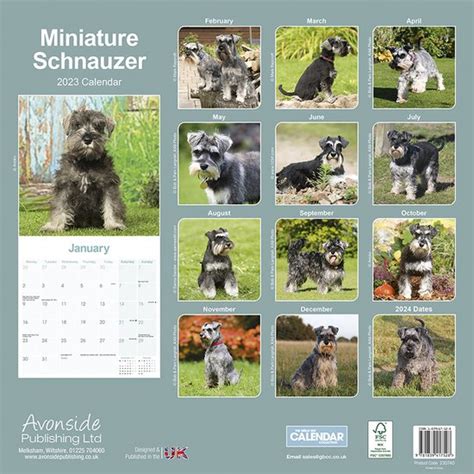 Miniatuur Schnauzer Kalender 2023 Bol