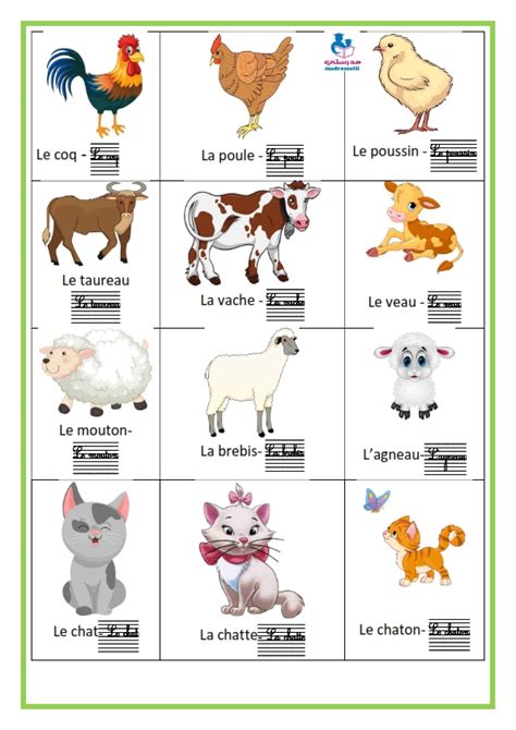 Famille Des Animaux Avec Exercice D Criture