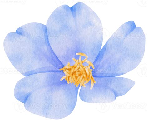 ilustración de acuarela de flores azules 9787180 PNG