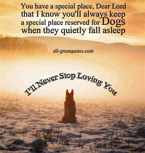 Pet Memorial Quotes. QuotesGram