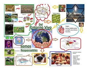 Calaméo SENA Mapa Mental Aa1 Ev02 Entorno Vivo V Calameo