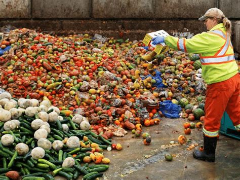 Sabes Cu Nta Comida Se Desperdicia En El Mundo Energ A Hoy